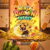 ninja raccon frenzy